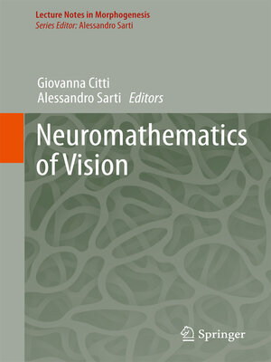 cover image of Neuromathematics of Vision